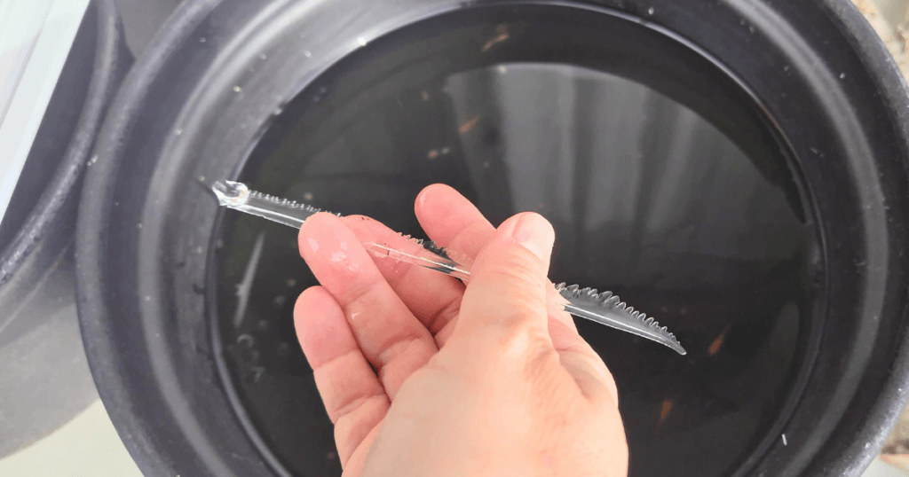 −4℃でも中央に水面が残ったメダカ鉢（風呂フタあり）