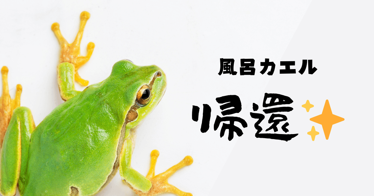 風呂カエルが冬眠から目覚めて帰ってきた様子を表現したインパクトのあるアイキャッチ画像